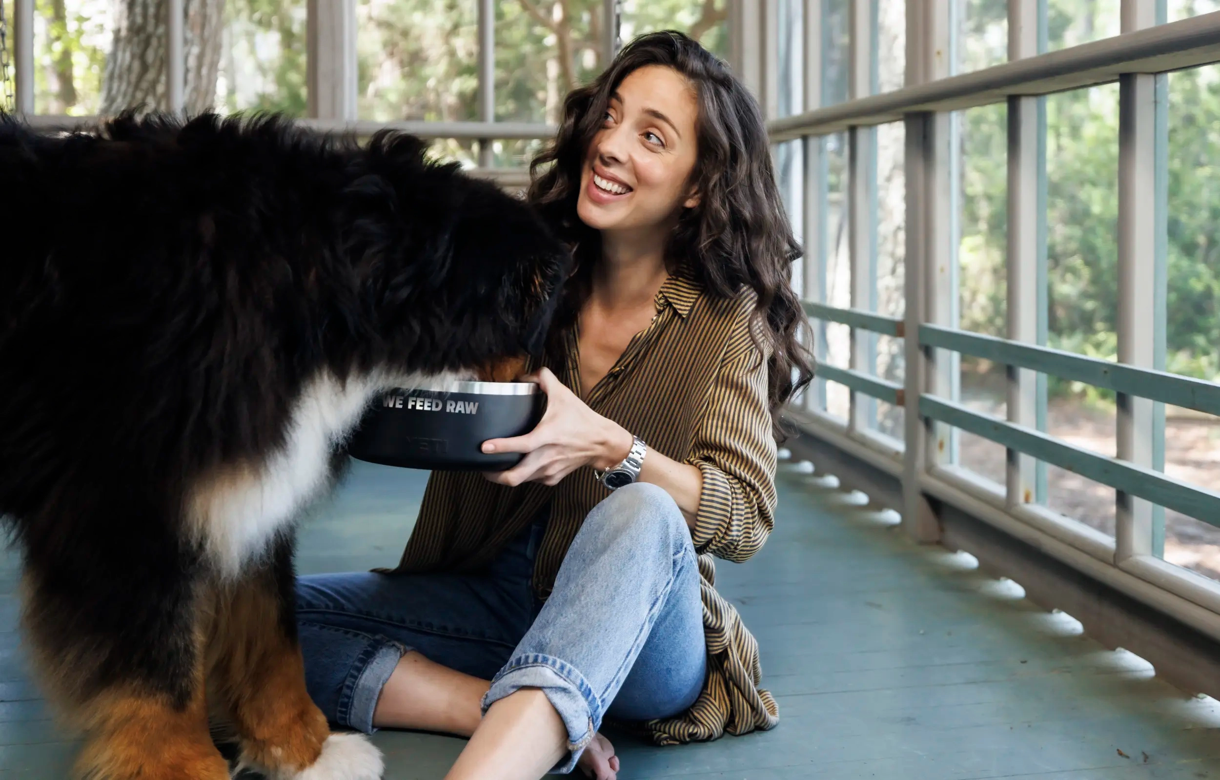 Person sits on a sunlit porch, smiling while feeding a Bernese Mountain Dog from a bowl labeled 'WE FEED RAW'