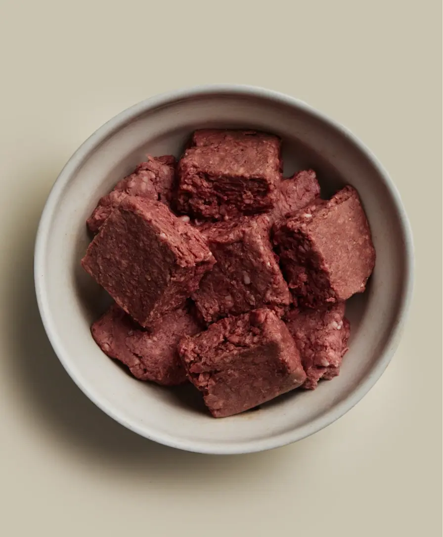 We Feed Raw beef recipe