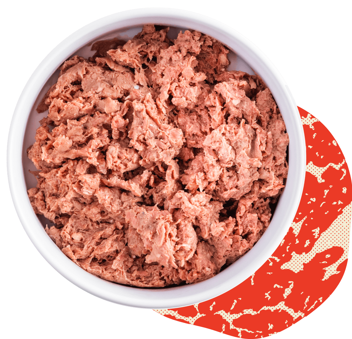 Top raw dog store food