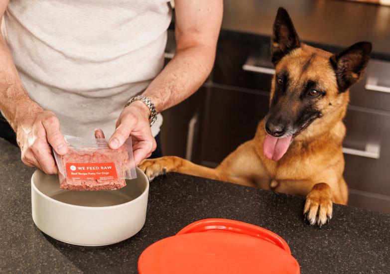 Dog being fed a raw diet