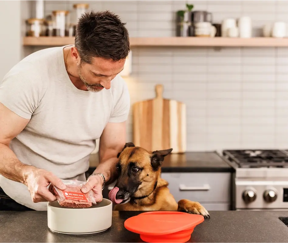 Dog eagerly waiting for a bowl of raw dog food