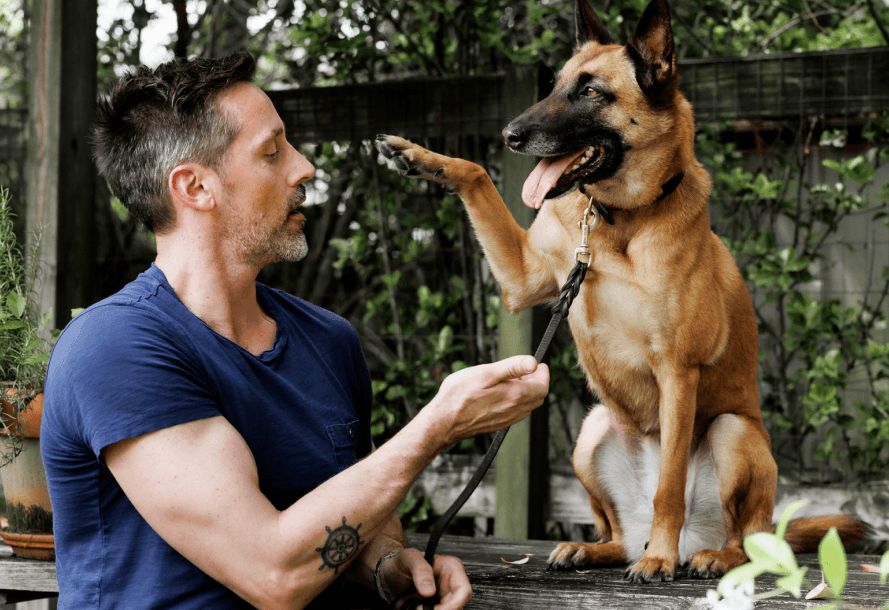 Dog placing his paw towards his owner