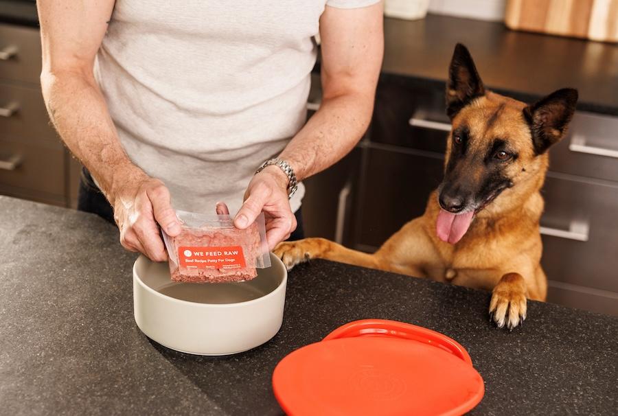 Person preparing WeFeedRaw pre-made raw dog food while their German Shepherd eagerly waits beside the food bowl