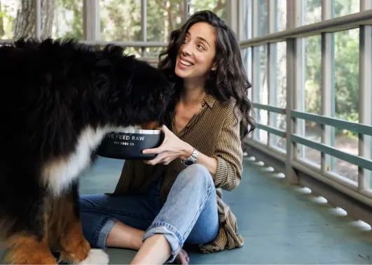 Person sits on a sunlit porch, smiling while feeding a Bernese Mountain Dog from a bowl labeled 'WE FEED RAW'