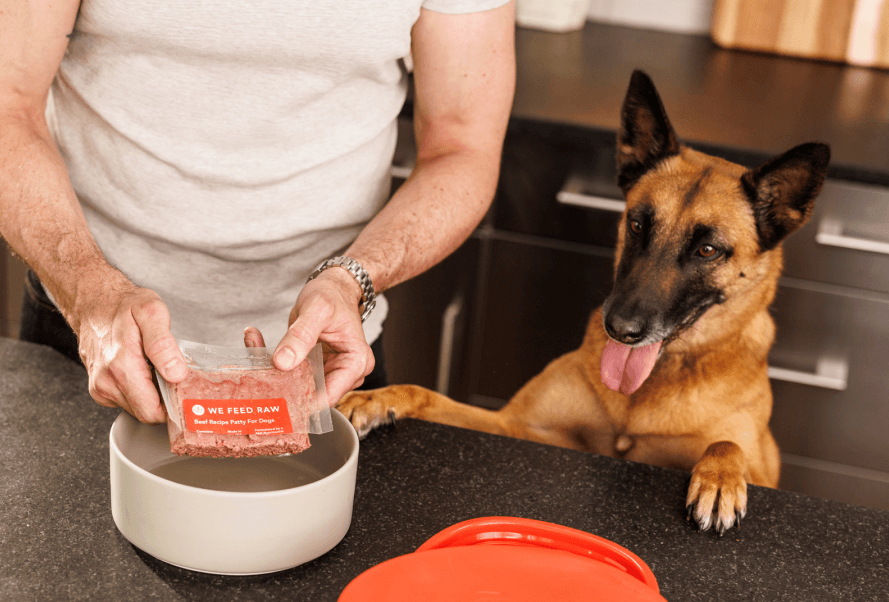 Dog excitedly waiting while his owner prepares his delicious We Feed Raw meal