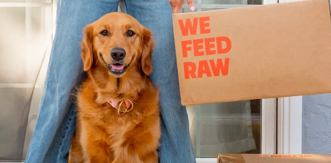 Happy golden retriever sitting next to an unopened box of We Feed Raw