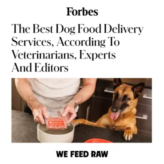 The Best Dog Food Delivery Services, According to Veterinarians, Experts And Editors