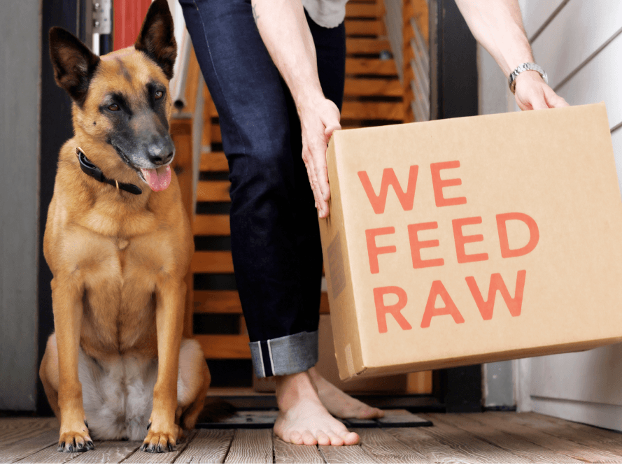 German shepard dog sitting next to a We Feed Raw Box