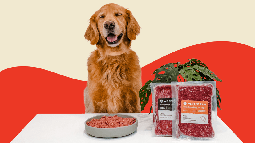 Benefits of Raw Dog Food